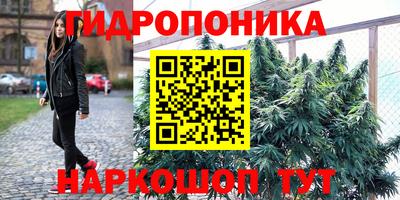 прущая мука Дубна