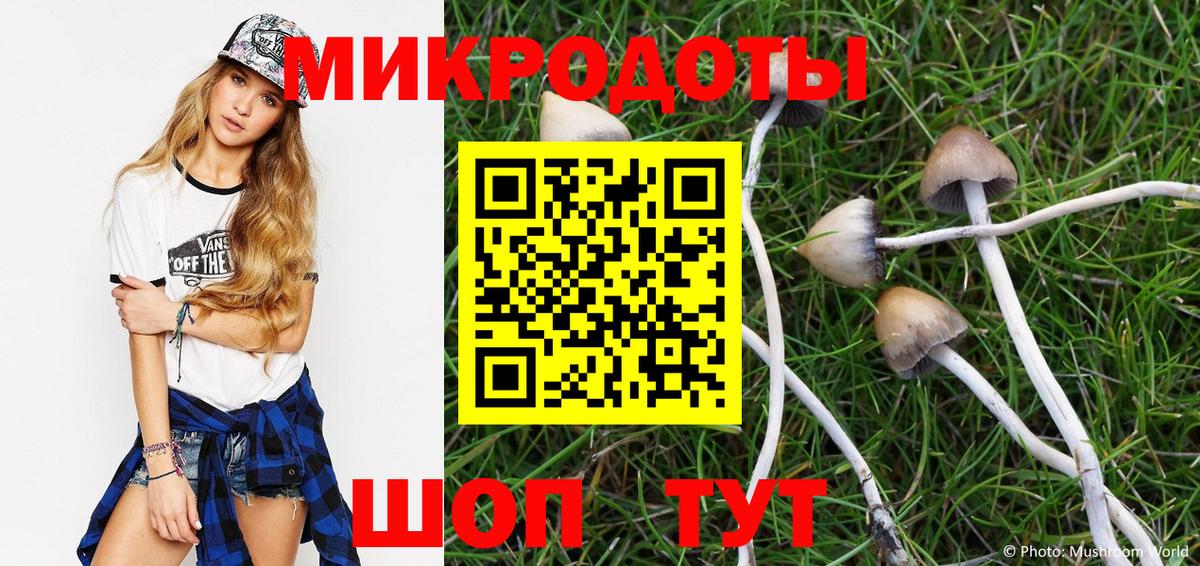 закладка  Вход с VPN  Псилоцибиновые грибы прущие грибы  Южно-Сахалинск  Псилоцибиновые грибы Magic Shrooms 