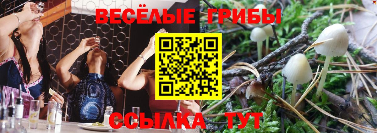 Галлюциногенные грибы Psilocybe Южно-Сахалинск